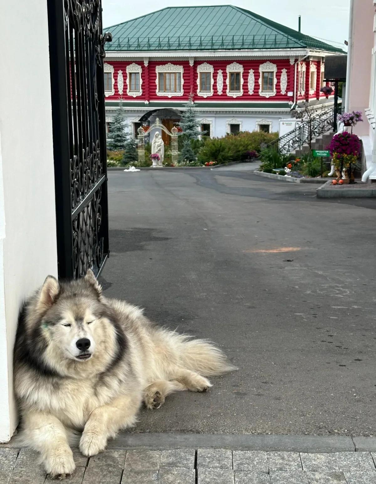 Фото к отзыву Татьяны