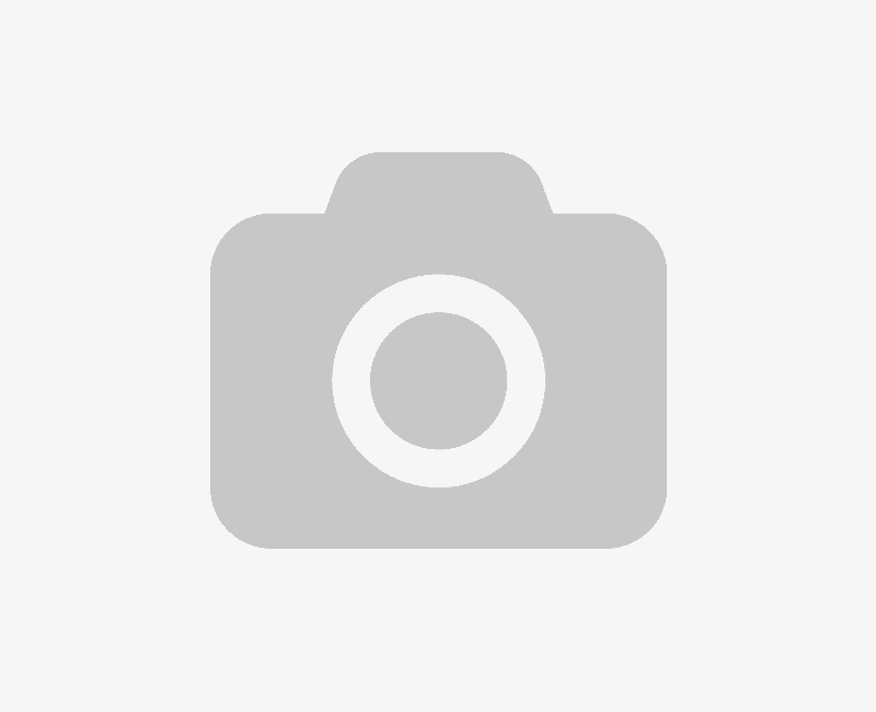 Дом Чичерова Арзамас